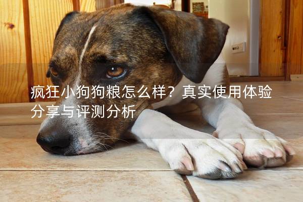 疯狂小狗狗粮怎么样？真实使用体验分享与评测分析