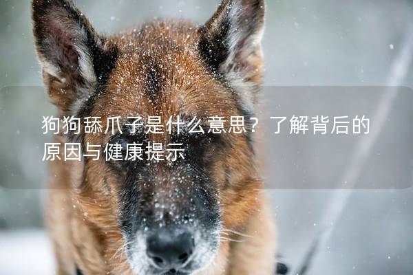 狗狗舔爪子是什么意思？了解背后的原因与健康提示