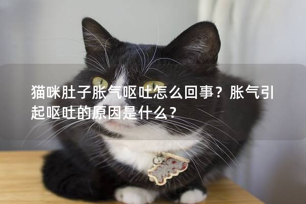 猫咪肚子胀气呕吐怎么回事？胀气引起呕吐的原因是什么？