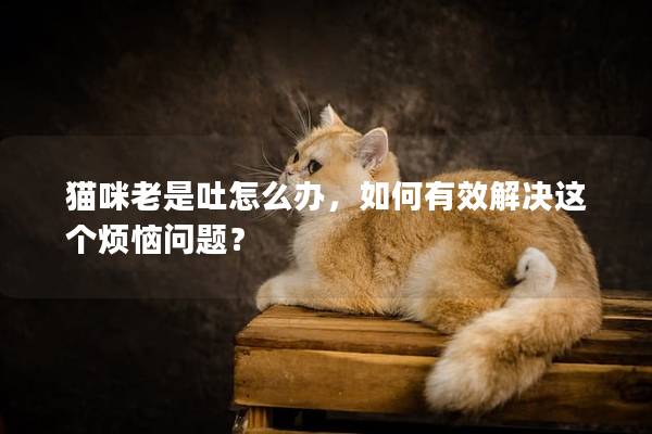 猫咪老是吐怎么办，如何有效解决这个烦恼问题？