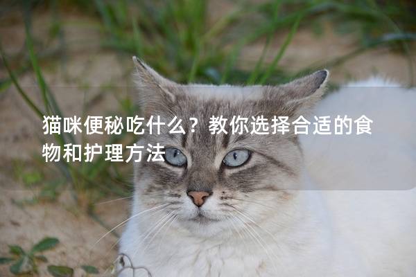 猫咪便秘吃什么？教你选择合适的食物和护理方法