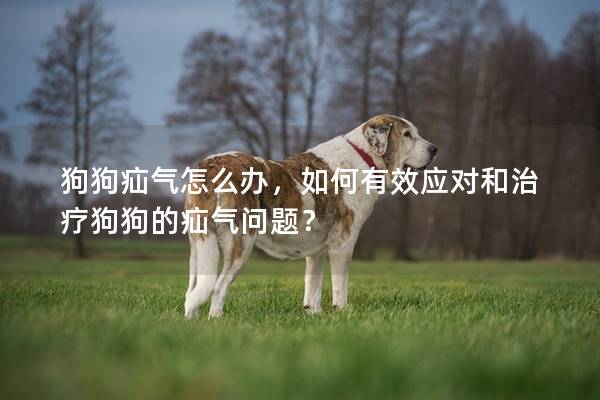 狗狗疝气怎么办，如何有效应对和治疗狗狗的疝气问题？