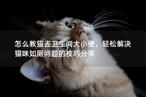 怎么教猫去卫生间大小便，轻松解决猫咪如厕问题的技巧分享