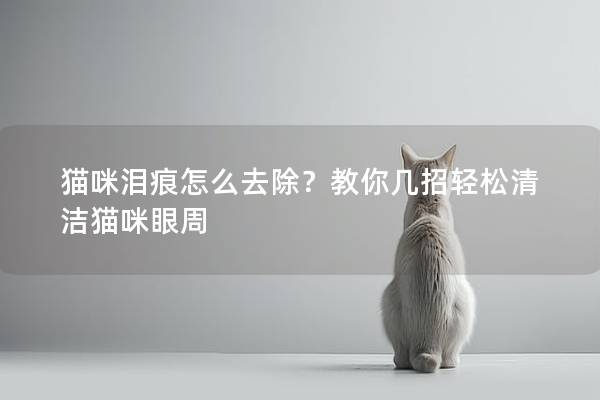 猫咪泪痕怎么去除？教你几招轻松清洁猫咪眼周