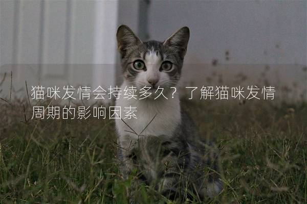 猫咪发情会持续多久？了解猫咪发情周期的影响因素