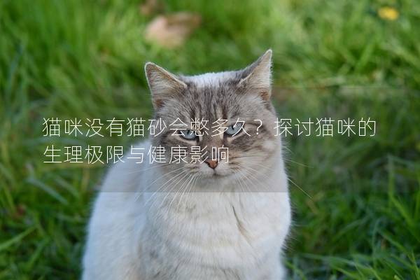 猫咪没有猫砂会憋多久？探讨猫咪的生理极限与健康影响