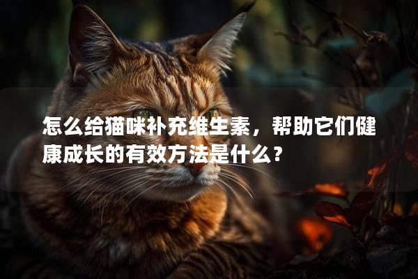 怎么给猫咪补充维生素，帮助它们健康成长的有效方法是什么？