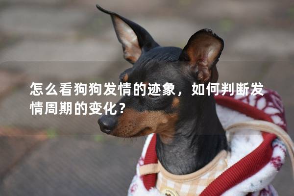 怎么看狗狗发情的迹象，如何判断发情周期的变化？