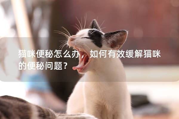 猫咪便秘怎么办，如何有效缓解猫咪的便秘问题？