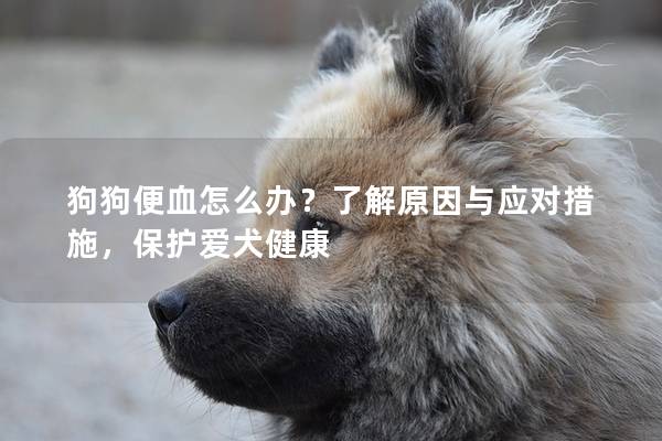 狗狗便血怎么办？了解原因与应对措施，保护爱犬健康