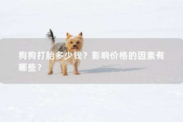 狗狗打胎多少钱？影响价格的因素有哪些？