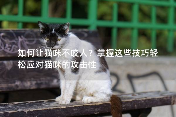 如何让猫咪不咬人？掌握这些技巧轻松应对猫咪的攻击性