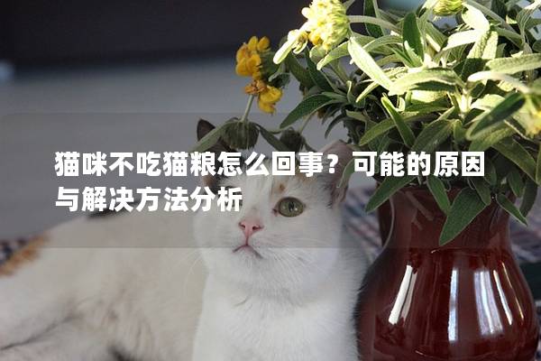 猫咪不吃猫粮怎么回事？可能的原因与解决方法分析