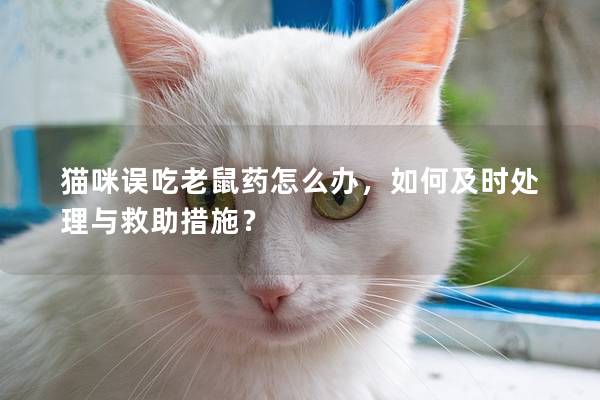 猫咪误吃老鼠药怎么办，如何及时处理与救助措施？