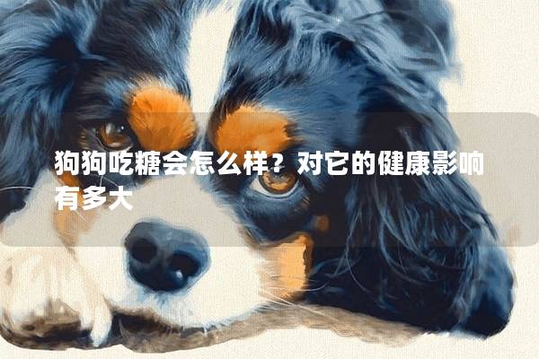 狗狗吃糖会怎么样？对它的健康影响有多大