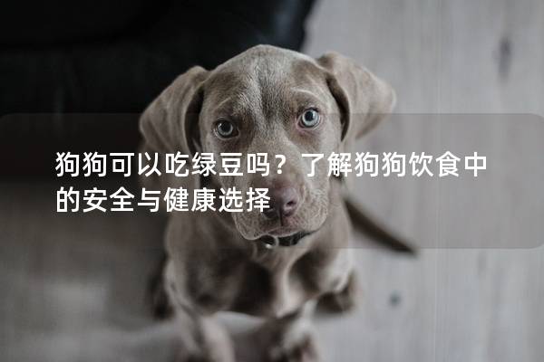 狗狗可以吃绿豆吗？了解狗狗饮食中的安全与健康选择