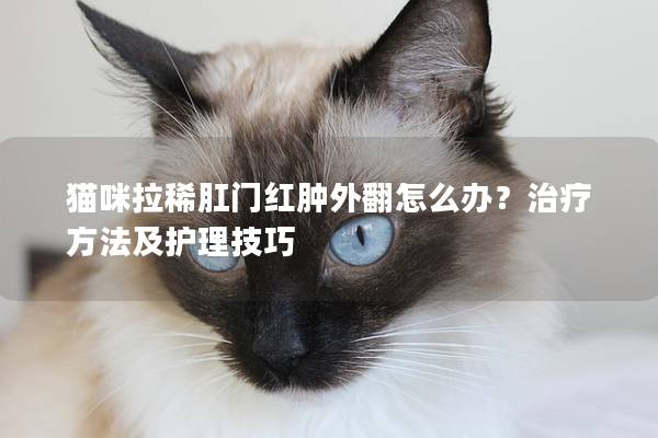 猫咪拉稀肛门红肿外翻怎么办？治疗方法及护理技巧