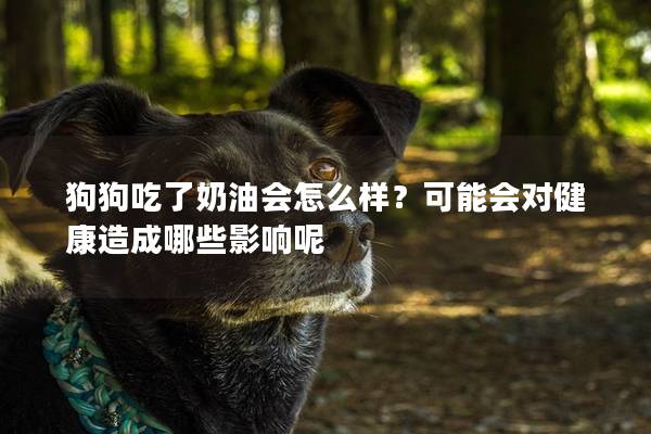 狗狗吃了奶油会怎么样？可能会对健康造成哪些影响呢