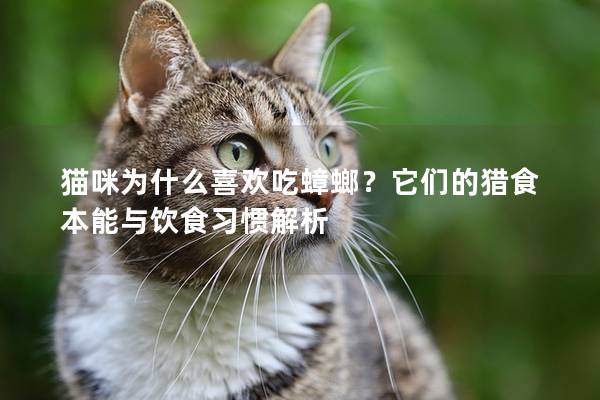 猫咪为什么喜欢吃蟑螂？它们的猎食本能与饮食习惯解析