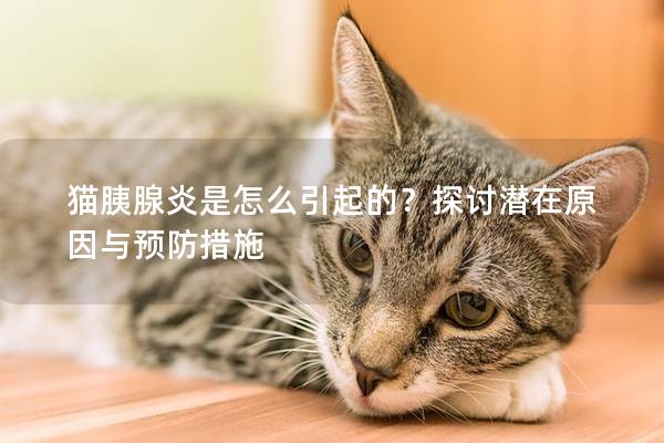 猫胰腺炎是怎么引起的？探讨潜在原因与预防措施