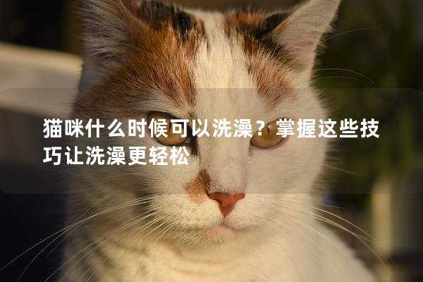 猫咪什么时候可以洗澡？掌握这些技巧让洗澡更轻松