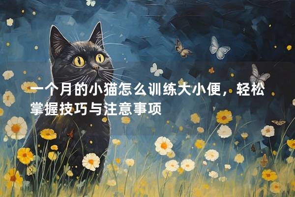 一个月的小猫怎么训练大小便，轻松掌握技巧与注意事项