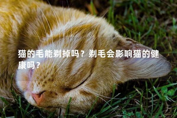 猫的毛能剃掉吗？剃毛会影响猫的健康吗？