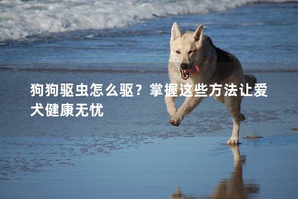 狗狗驱虫怎么驱？掌握这些方法让爱犬健康无忧