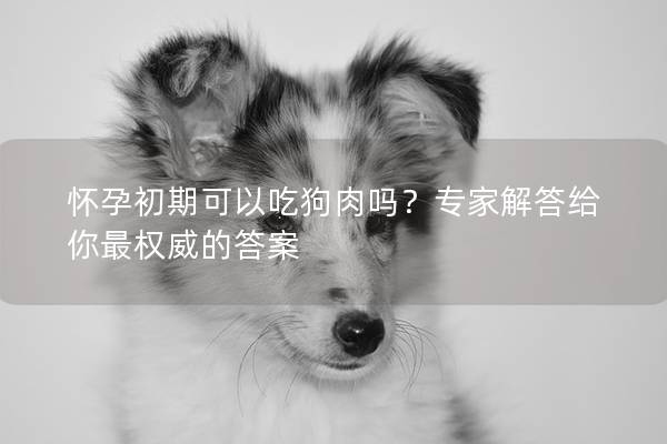 怀孕初期可以吃狗肉吗？专家解答给你最权威的答案