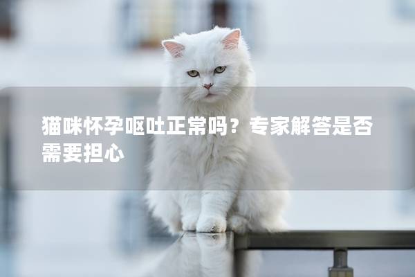 猫咪怀孕呕吐正常吗？专家解答是否需要担心