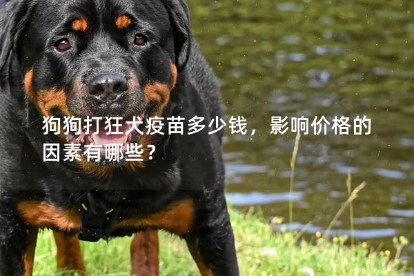 狗狗打狂犬疫苗多少钱，影响价格的因素有哪些？