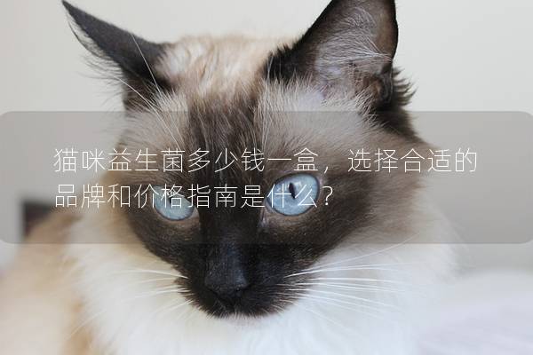 猫咪益生菌多少钱一盒，选择合适的品牌和价格指南是什么？