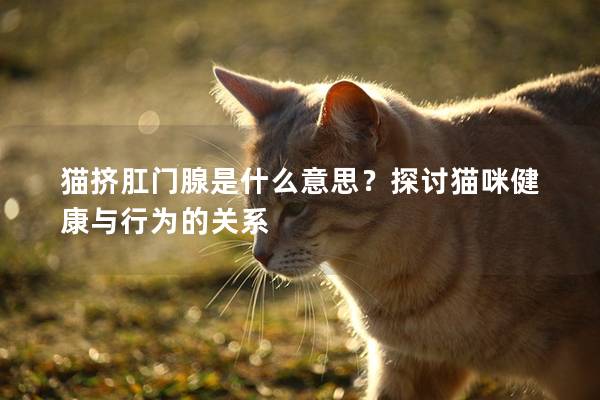 猫挤肛门腺是什么意思？探讨猫咪健康与行为的关系