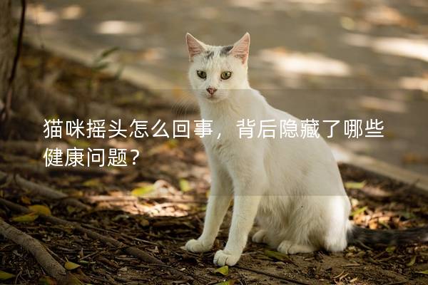 猫咪摇头怎么回事，背后隐藏了哪些健康问题？