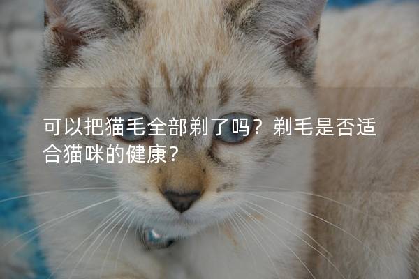 可以把猫毛全部剃了吗？剃毛是否适合猫咪的健康？