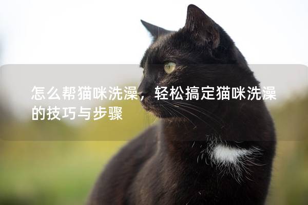 怎么帮猫咪洗澡，轻松搞定猫咪洗澡的技巧与步骤