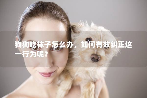 狗狗吃袜子怎么办，如何有效纠正这一行为呢？