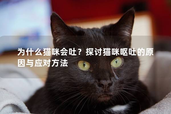 为什么猫咪会吐？探讨猫咪呕吐的原因与应对方法