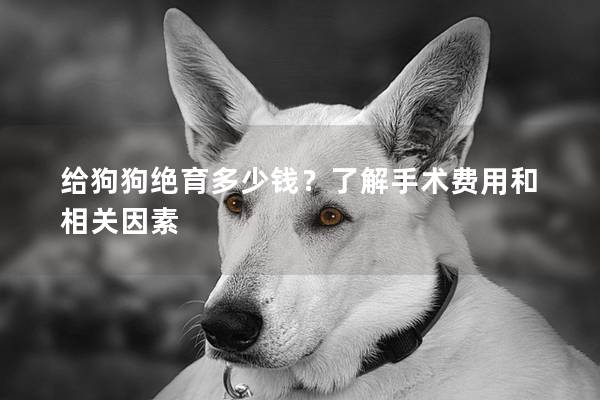 给狗狗绝育多少钱？了解手术费用和相关因素