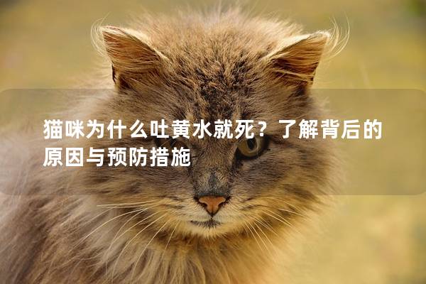 猫咪为什么吐黄水就死？了解背后的原因与预防措施