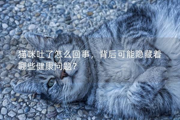 猫咪吐了怎么回事，背后可能隐藏着哪些健康问题？