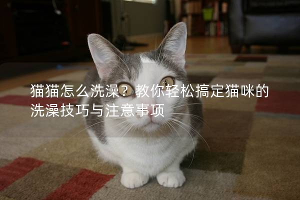 猫猫怎么洗澡？教你轻松搞定猫咪的洗澡技巧与注意事项