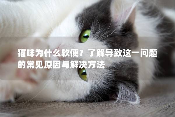 猫咪为什么软便？了解导致这一问题的常见原因与解决方法