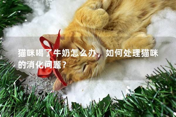 猫咪喝了牛奶怎么办，如何处理猫咪的消化问题？