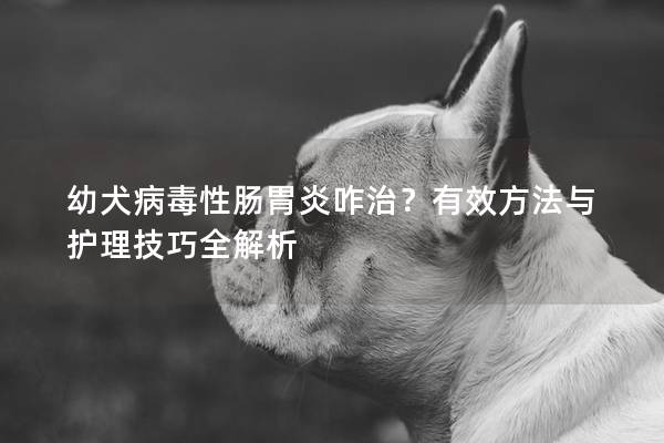 幼犬病毒性肠胃炎咋治？有效方法与护理技巧全解析