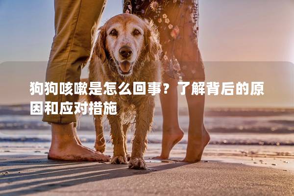 狗狗咳嗽是怎么回事？了解背后的原因和应对措施