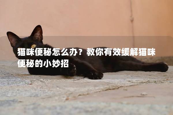 猫咪便秘怎么办？教你有效缓解猫咪便秘的小妙招