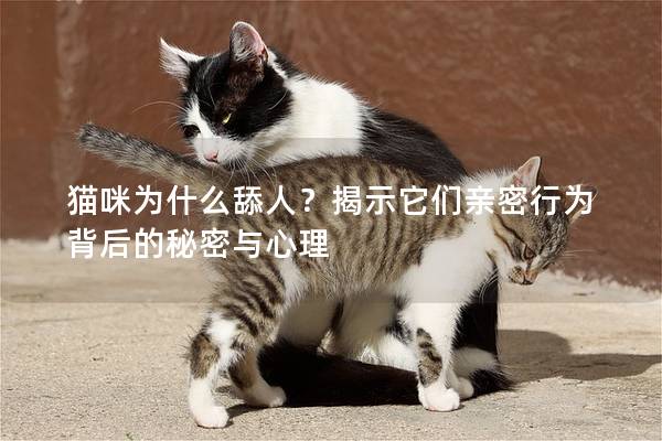 猫咪为什么舔人？揭示它们亲密行为背后的秘密与心理