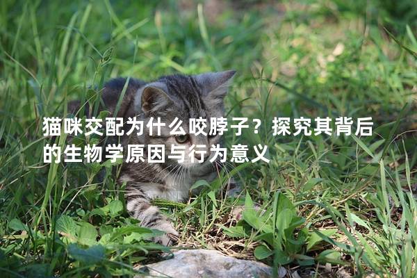 猫咪交配为什么咬脖子？探究其背后的生物学原因与行为意义