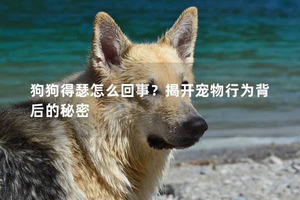 狗狗得瑟怎么回事？揭开宠物行为背后的秘密